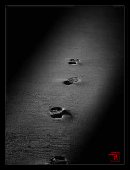 Des petits pas pour l'homme....