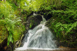 Ouate et Clorophylle