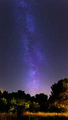 Des étoiles plein les yeux