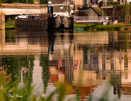 bords de seine un dimanche après midi.