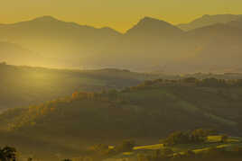 Paysage du Bearn