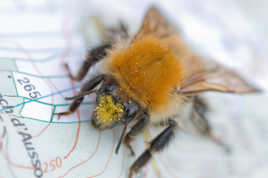 ah ! si j'avais un GPS ?