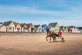 Petit trot sur la plage