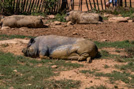 sieste après bain de boue