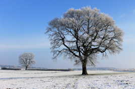 Hiver Petite Suisse Luxembourgeoise