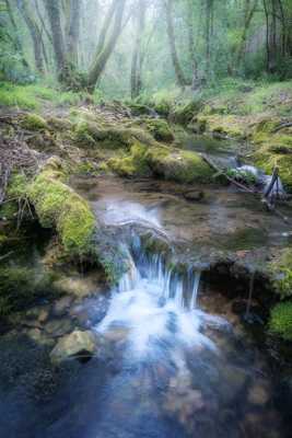 La Brague enchantée.
