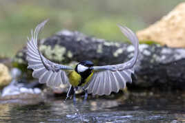 Ooouups... elle est froide