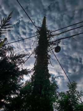 Quand la Nature reprend ses droits