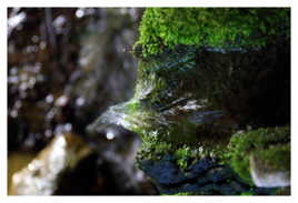 le fil et la fontaine