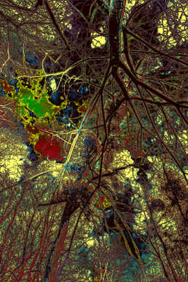 cliché comme des vaisseaux sanguins , repeint façon abstrait