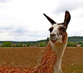 suis-je mieux comme cela