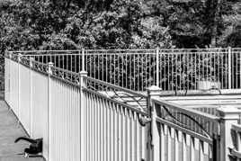 Verticales, perspectives