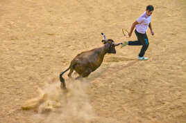 Jeux d'arène (2)