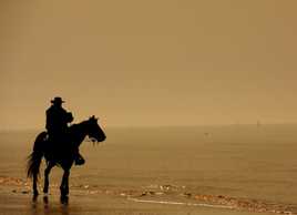 Lhomme , le cheval et la mer