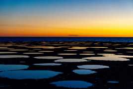 Cadeau de fin de soirée !