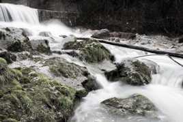 le tronc sur la rivière