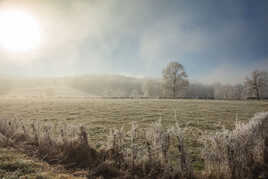 Ambiance hivernale