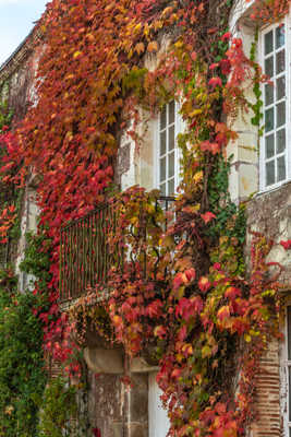 Noel au balcon.......