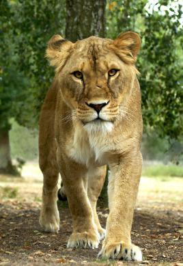 Oups ! Elle m'a vue !