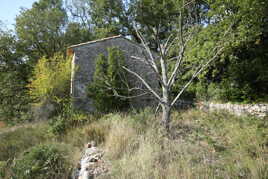 Cabanon de provence