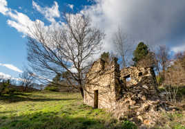 La ruine