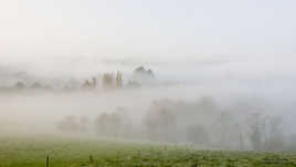 Brume matinale