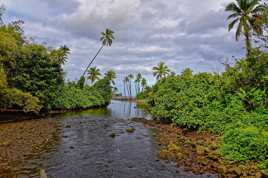 Paysages des Îles Lau