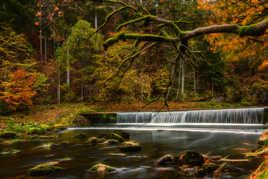 Couleurs de l'automne