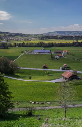 Panorama vertical depuis Gruyère