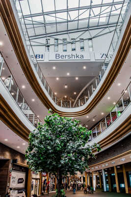 Ballade en grande surface 6