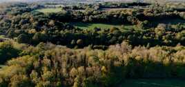 Bocage
