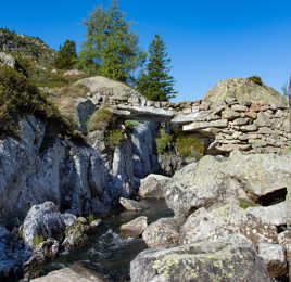 Je coule sous ce Vieux Monsieur..Pyrénées