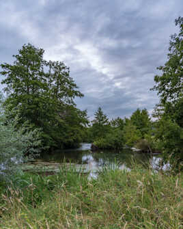 Au bord de la Risle