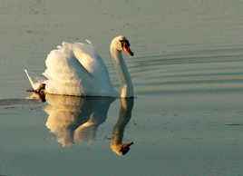 Moment crépusculaire