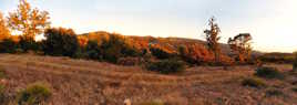 Sainte-Victoire au Couchant