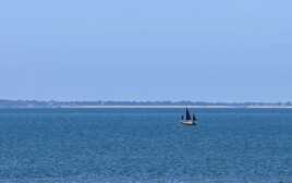 tranquille, tranquille