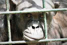 je vois tout dans t on regard