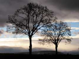 Au détour d'une route