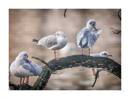 L'heure du nettoyage!