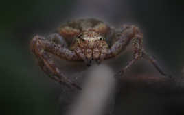 Maintenant je comprends mieux Harry Potter.....