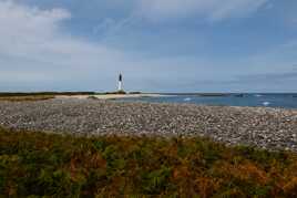 Ne cachez pas ce Sein...