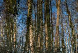les têtes ou les pieds dans l'eau