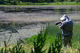 Le chasseur de libellules
