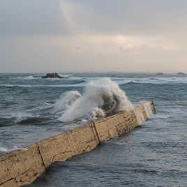 le chien de Poseidon