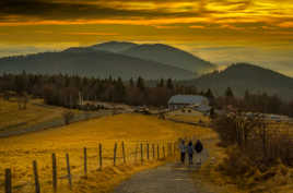 Le massif des Vosges