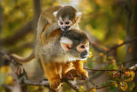 Accroche toiiiii!!!!!!