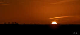 coucher de soleil sur le marais Charentais