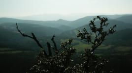 la nature et trop belle pour disparaitre