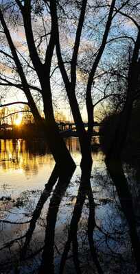 reflet d'un coucher .