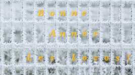 Bonne Année les Locos!